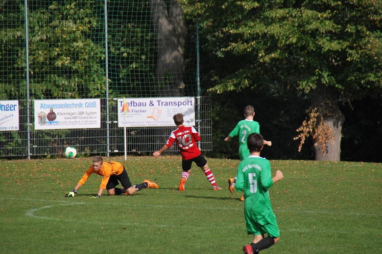 780x5205.ST Grimme-BSG 4.10 (75).JPG